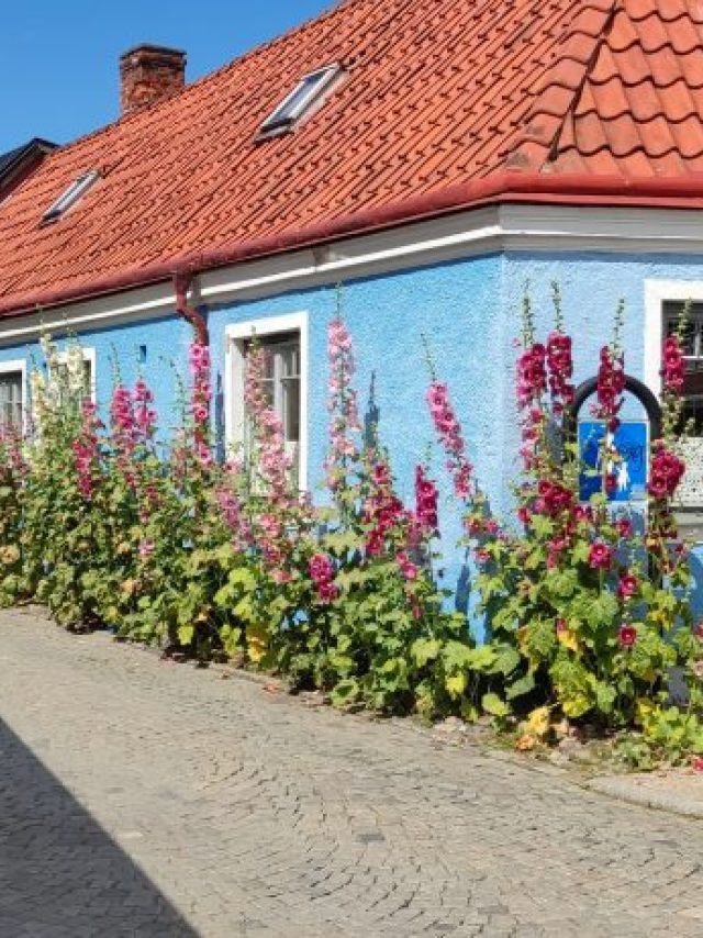 Tag 16 Ystad