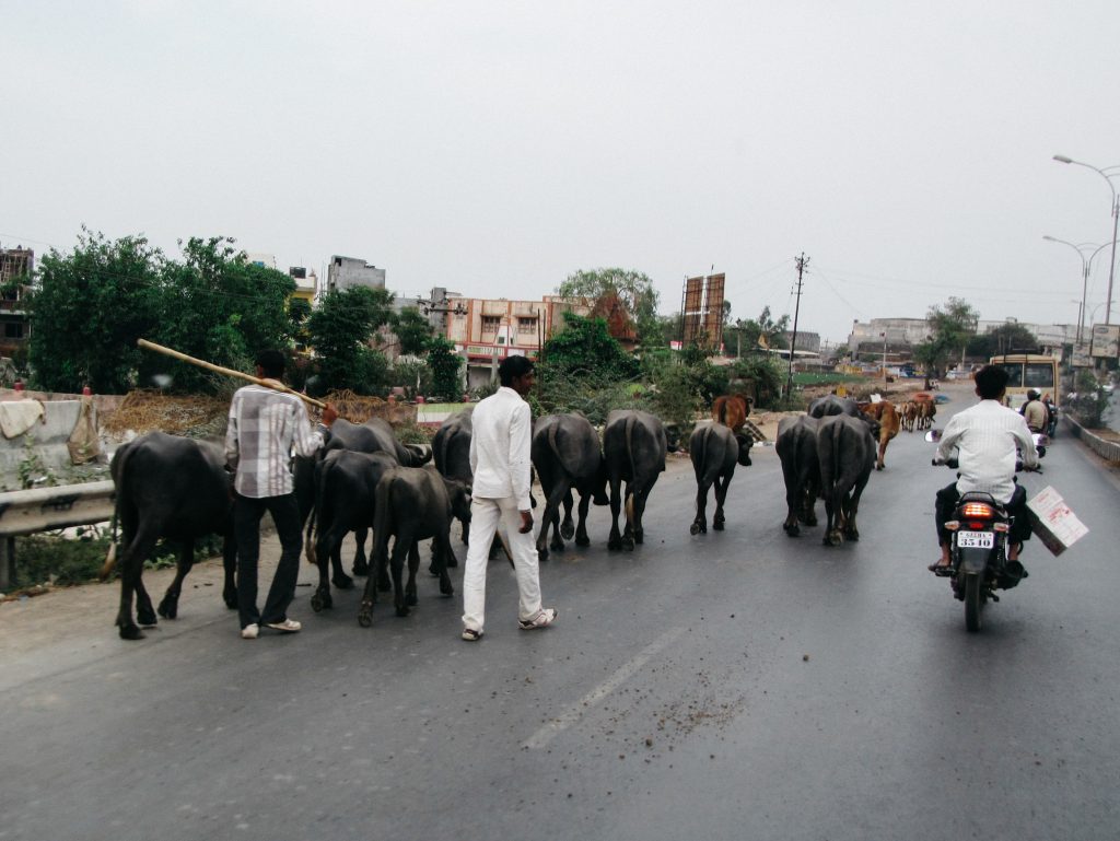 Indien