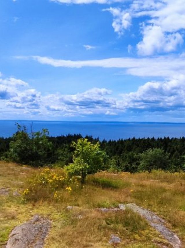 Tag 7/8 Vättern - Öxelsund