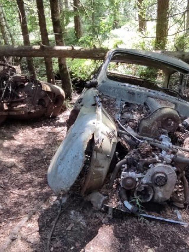 Tag 15 Autofriedhof Kyrkö Mosse